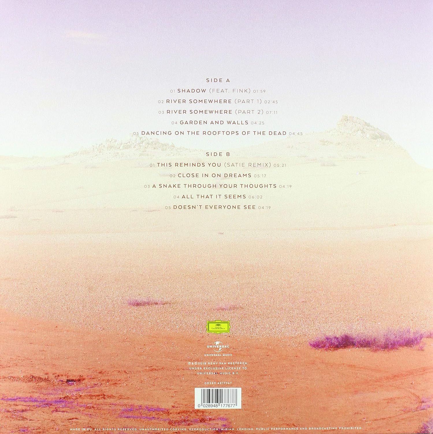 Remy Van Kesteren - Shadows (LP)