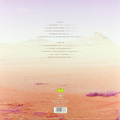 Remy Van Kesteren - Shadows (LP)
