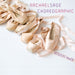 Rachael Sage: Choreographic (Acoustic)