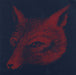 Young Widows - Future Heart (7`` Single)