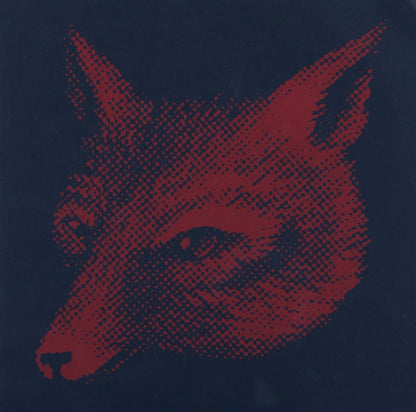 Young Widows - Future Heart (7`` Single)