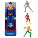 DC 30 cm Action Figure (Styles May Vary