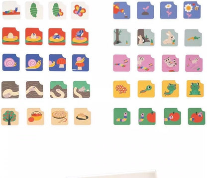 Janod Pédagogie Range-10x 4 Sequences-Put The Actions in Chronological Order-Children’s Educational Toy-36 Months +, J05083, Multicolor