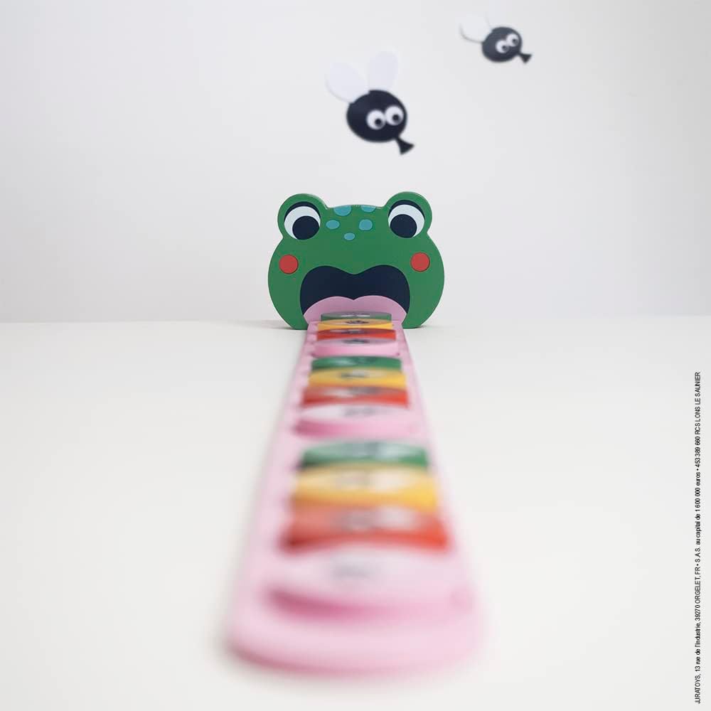 Janod Pédagogie Range Algorithms-Learn Colours and Sequences-Children’s Educational Toy-Frog Game-36 Months +, J05088, Multicolor Frog Algorithms - Learn Colours and Sequences