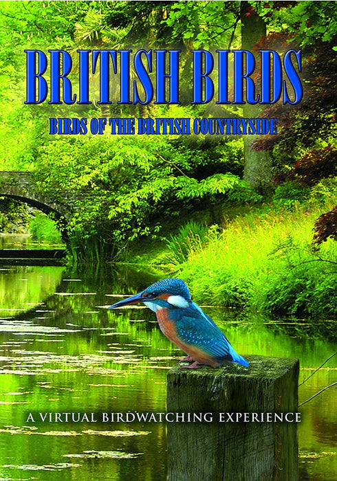British Birds: Volume 1 - Country Birds
