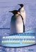 Wildlife: Antarctica, Australia, Pacific