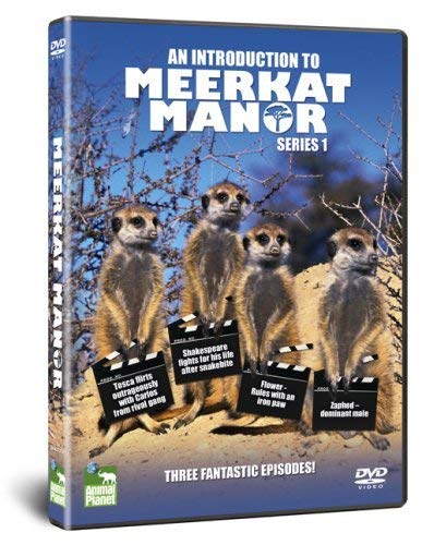 Meerkat Manor: An Introduction To Meerkat Manor