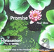 Paul Vens - Promise