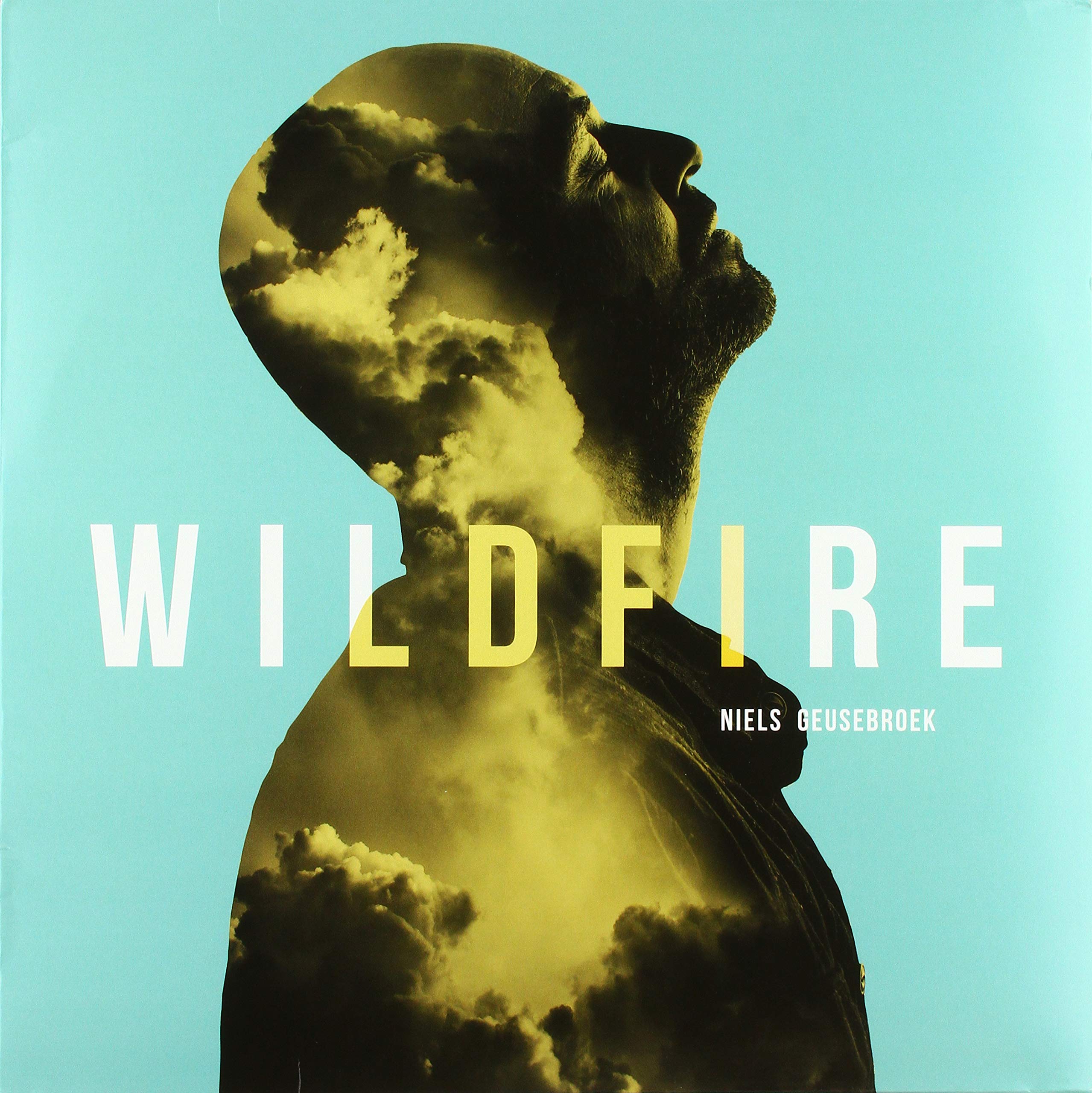 Wildfire