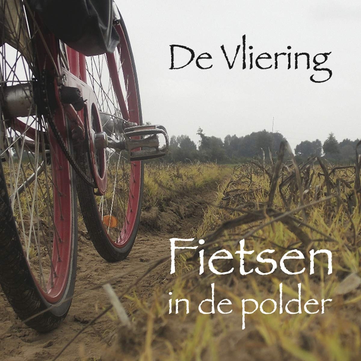 Fietsen in De Polder