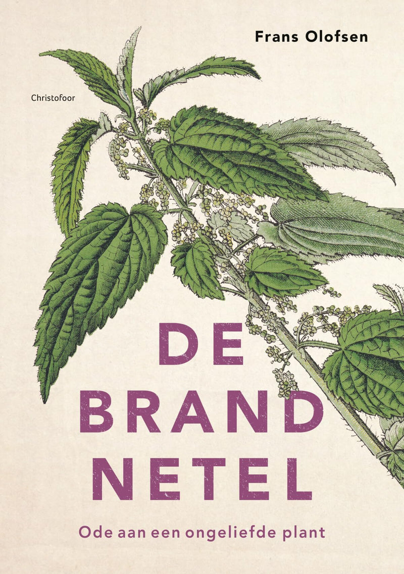 De brandnetel: ode aan een ongeliefde plant