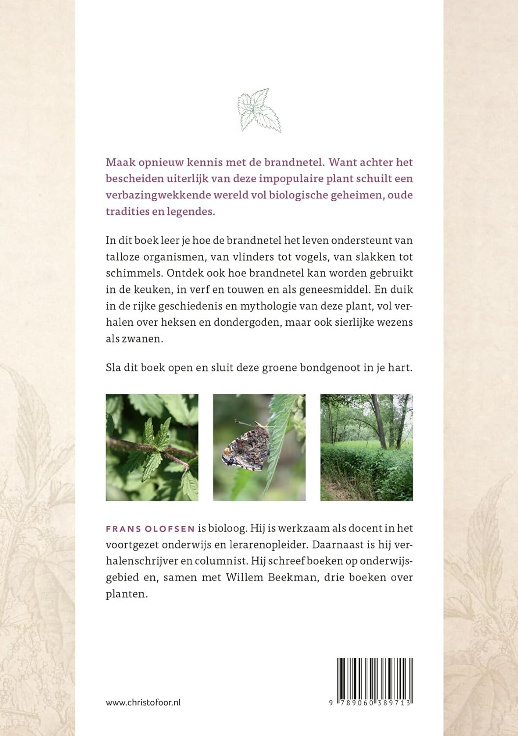 De brandnetel: ode aan een ongeliefde plant