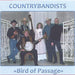 Russian Bluegrass And Folk Music
