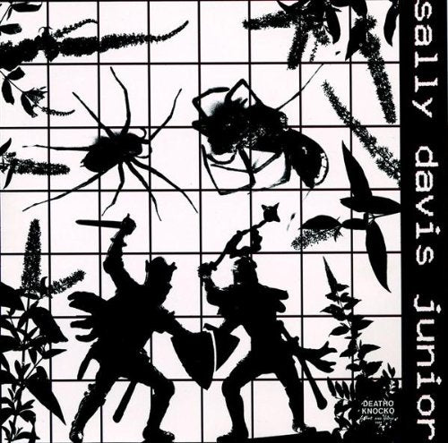Same (1993