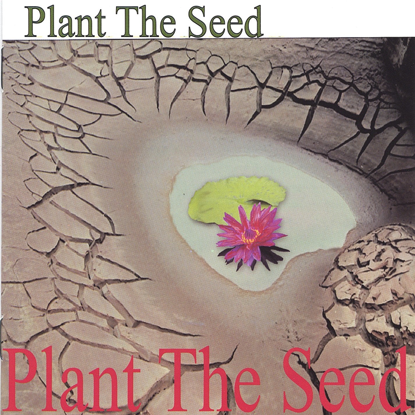 Plant the Seed
