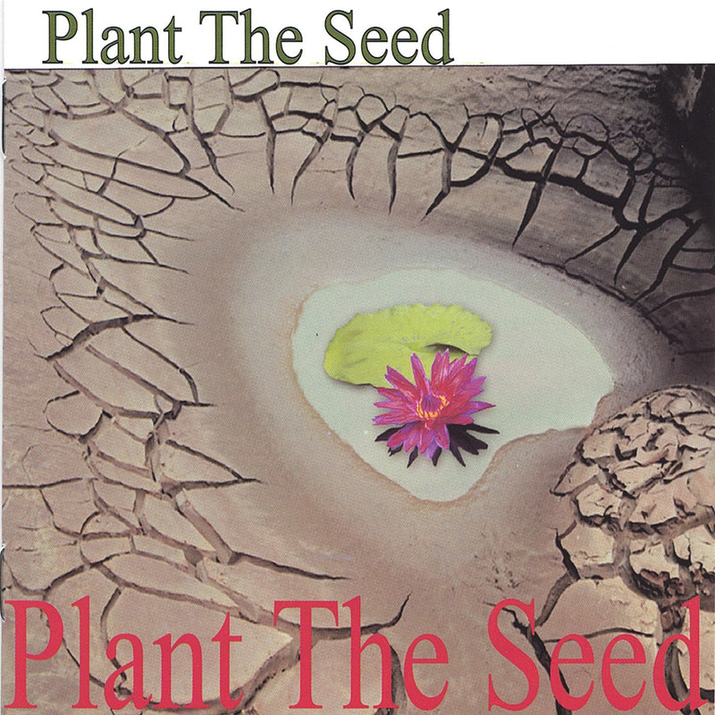Plant the Seed