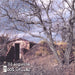 Root Cellar
