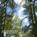 Natural Processes