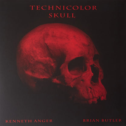 Technicolor Skull