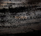 Incipio