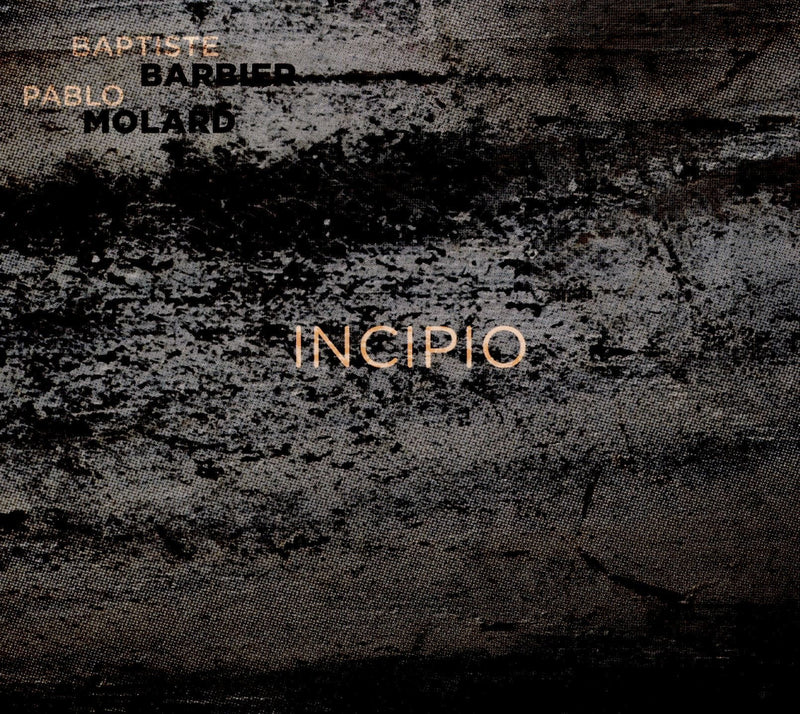 Incipio