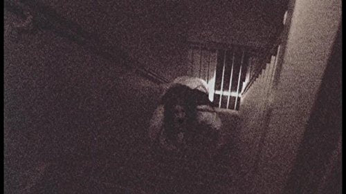 Paranormal Investigations 4-6 - (Italian Import)