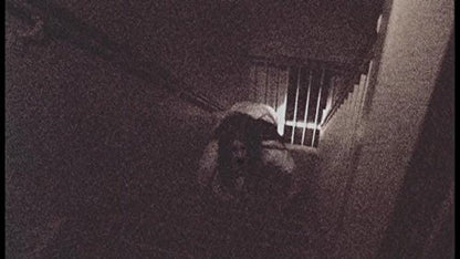 Paranormal Investigations 4-6 - (Italian Import)