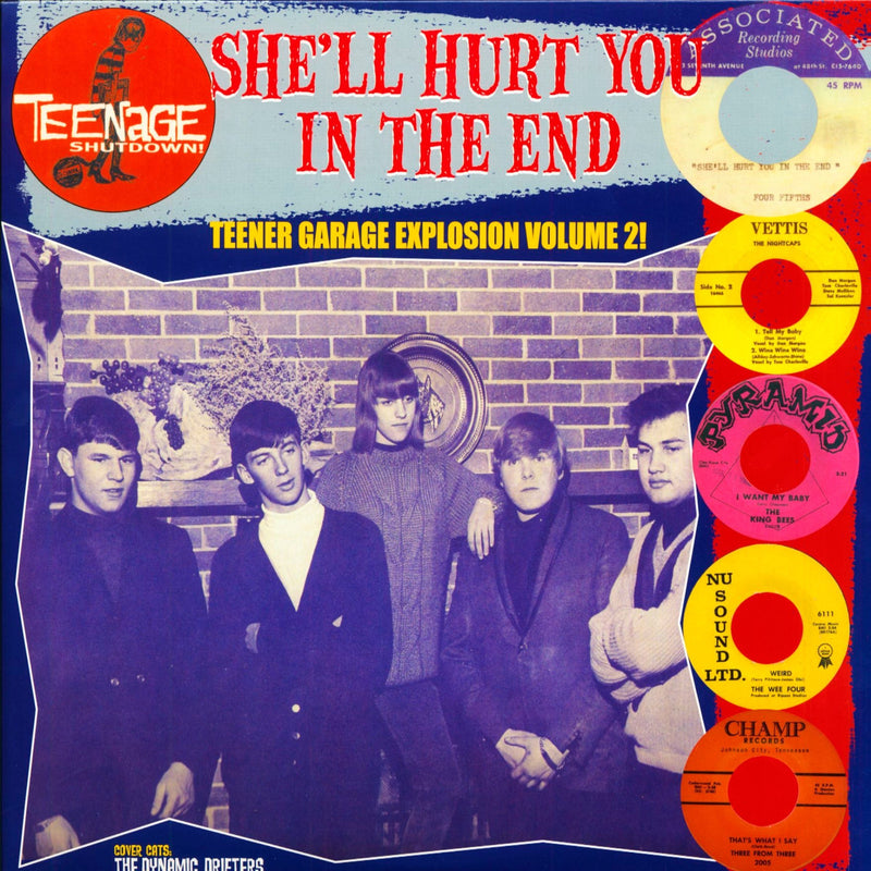 Teenage Shutdown! - She'll Hurt You in the End: Teener Garage Explosion Volume 2!