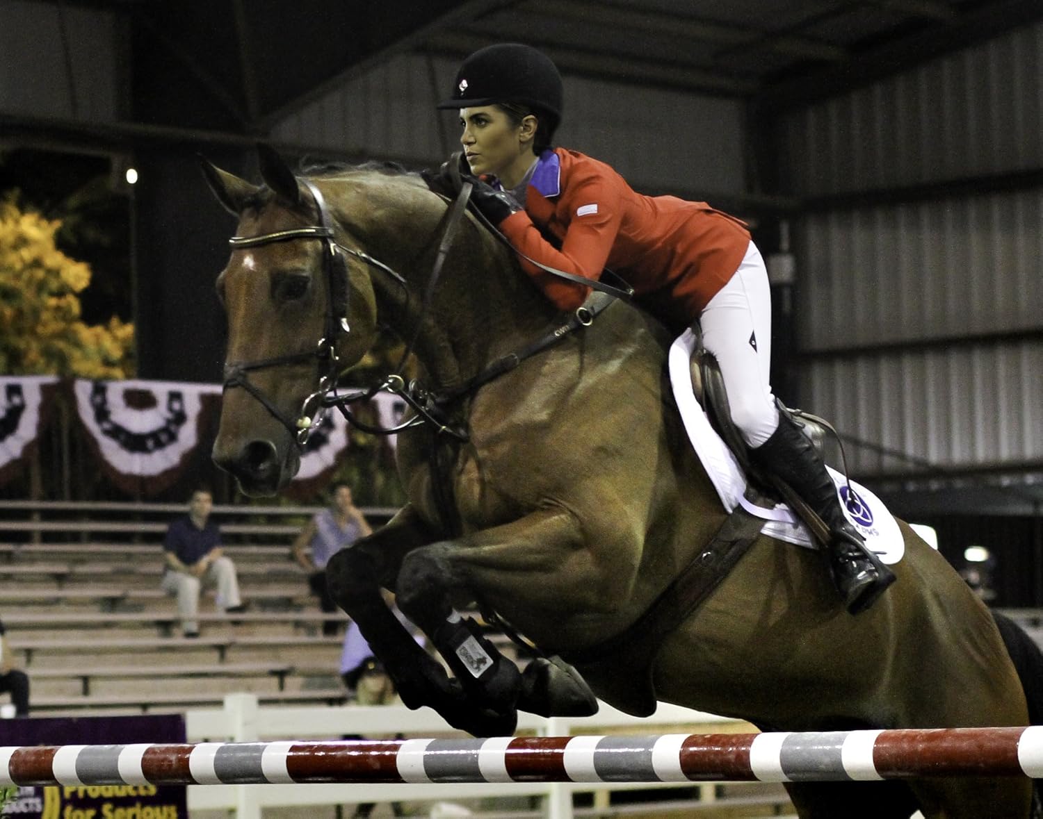 Sunday Horse - Ein Bund furs Leben