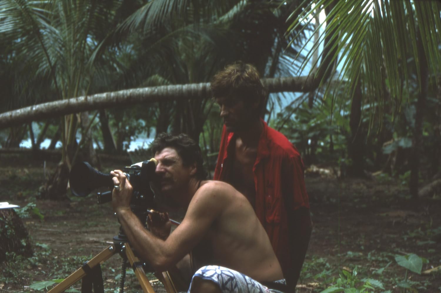 Beschreibung Einer Insel