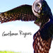 Gentlemen Rogues (Ltd.Blue