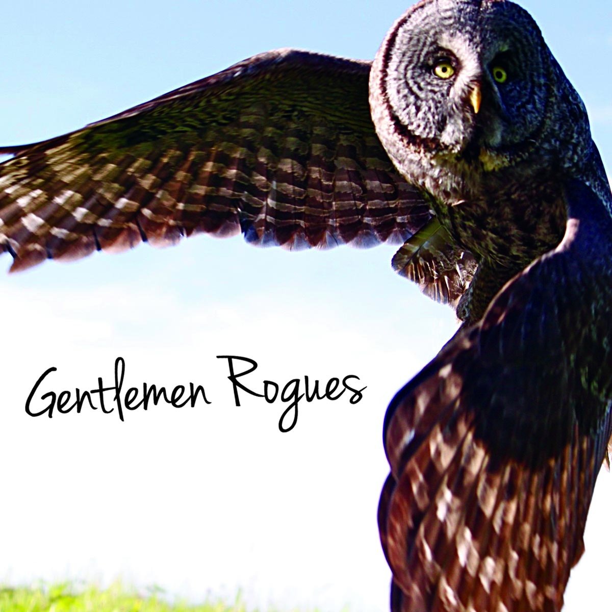 Gentlemen Rogues (Ltd.Blue