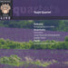 String Quartet/concertino/string Quartet (Ysaye Quartet)