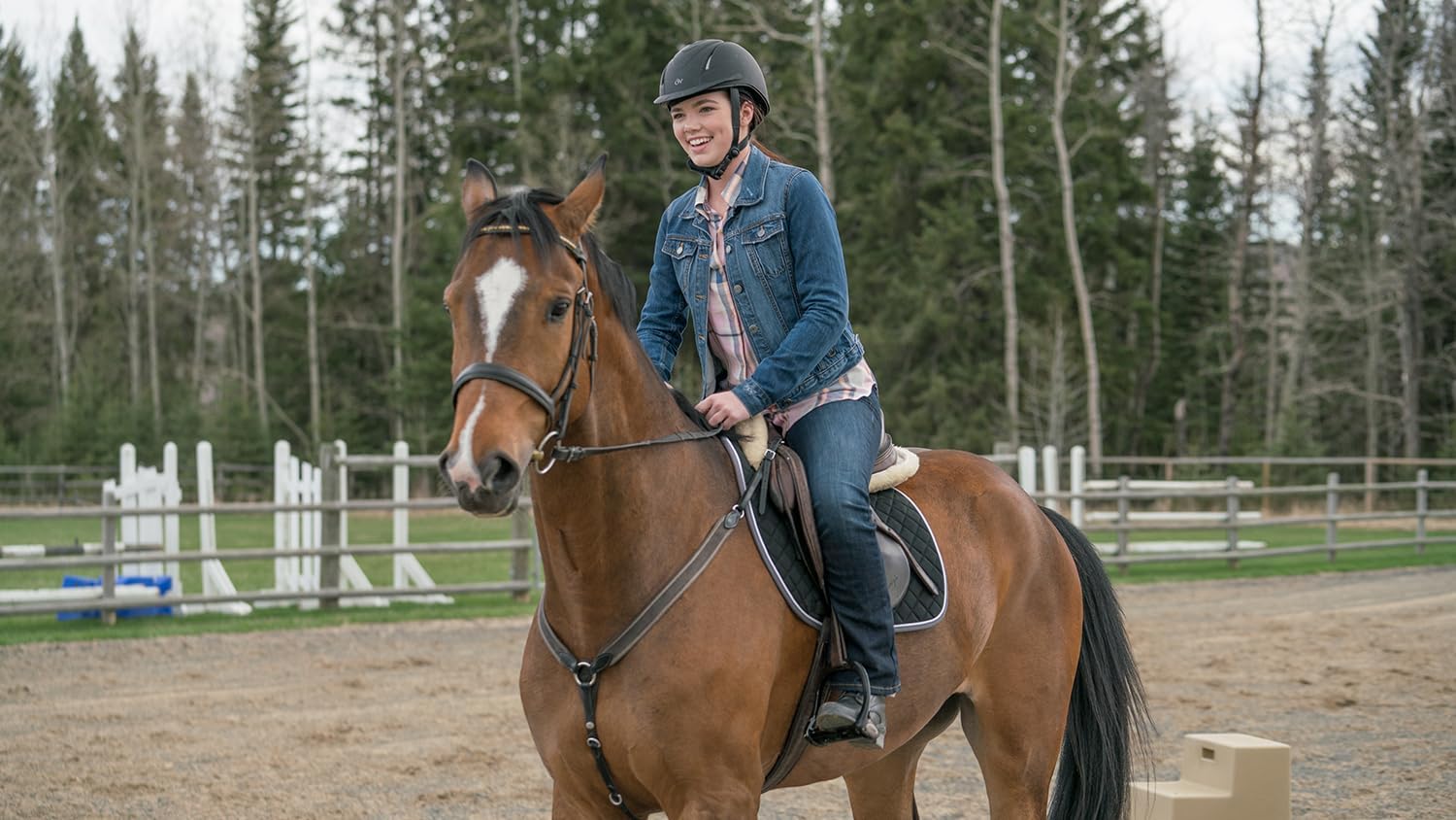 Heartland - Paradies für Pferde, Staffel 11 (Neuauflage)