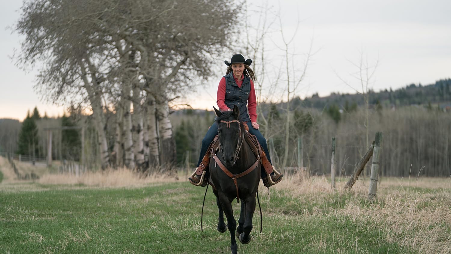 Heartland - Paradies für Pferde, Staffel 11 (Neuauflage)