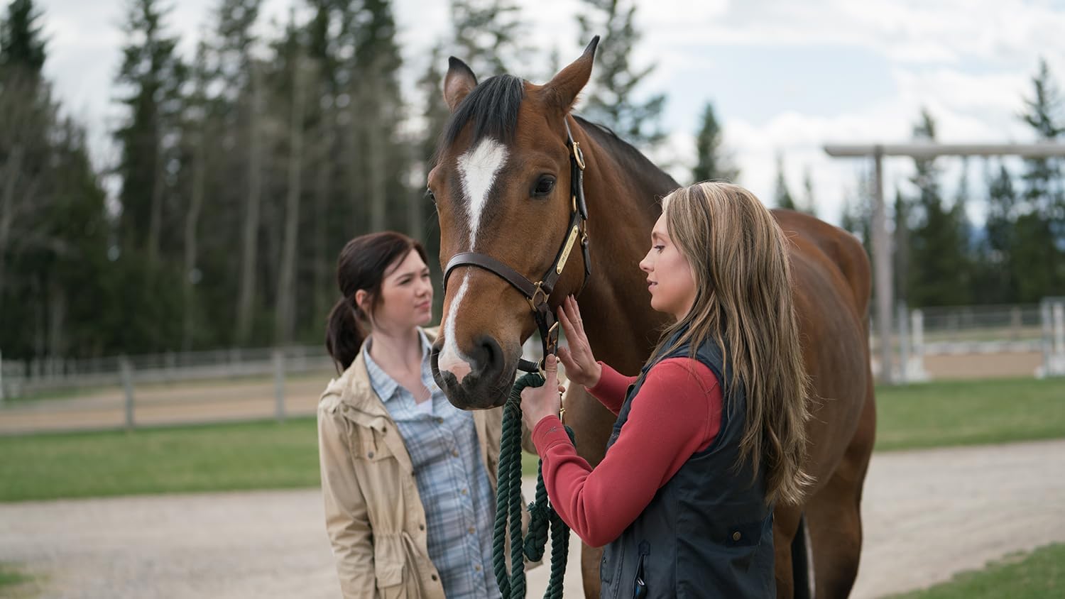 Heartland - Paradies für Pferde, Staffel 11 (Neuauflage)