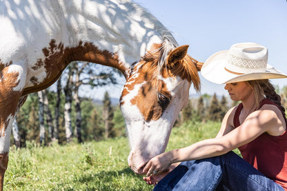 Heartland - Paradies für Pferde - Staffel 15