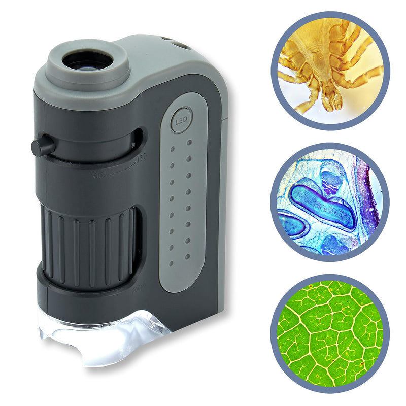 Carson MicroBrite Plus 60x-120x LED Lighted Pocket Microscope (MM-300