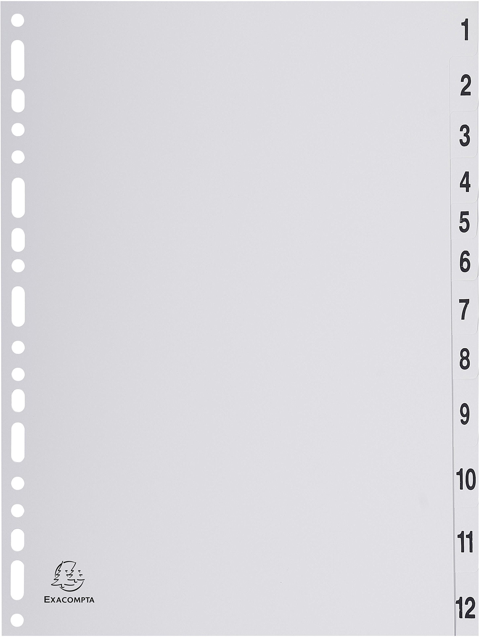 Exacompta - Ref 1912E - PP Printed Indices - For Use With A4 Documents, 0.1mm Polypropylene, Pre-Punched, Soft & Tear Resistant - 12 Divider Parts (1-12
