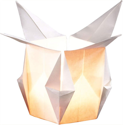 Folia 42300 Light Paper 80g, 12 Sheets 30 x 30 cm White