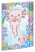 RNK-Verlag Sammelmappe DIN A4 Axolotl
