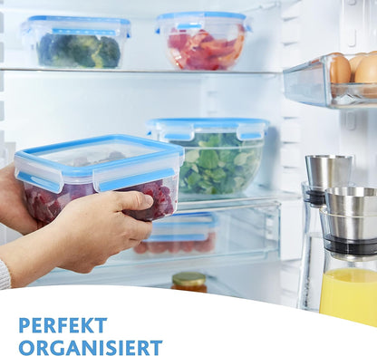 Emsa 508545 Clip & Close rectangular food storage container 2.6 litres, transparent/blue Transparent/Blue 2.6 L 2.6 L