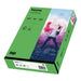 inapa Tecno Colours Coloured Printer Paper 120 g/m² A4 250 Sheets Intense Green Intense green 120g / m²