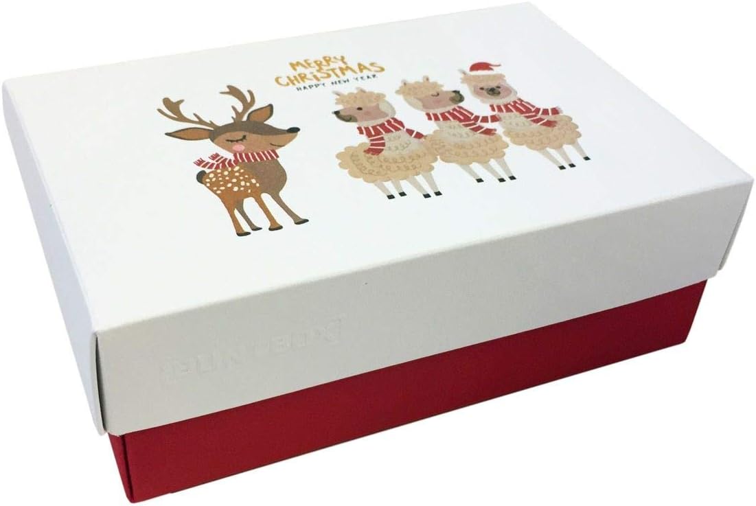 BUNTBOX 2010-26 Christmas Cardboard Set Size M 3 Pieces to Assemble Yourself