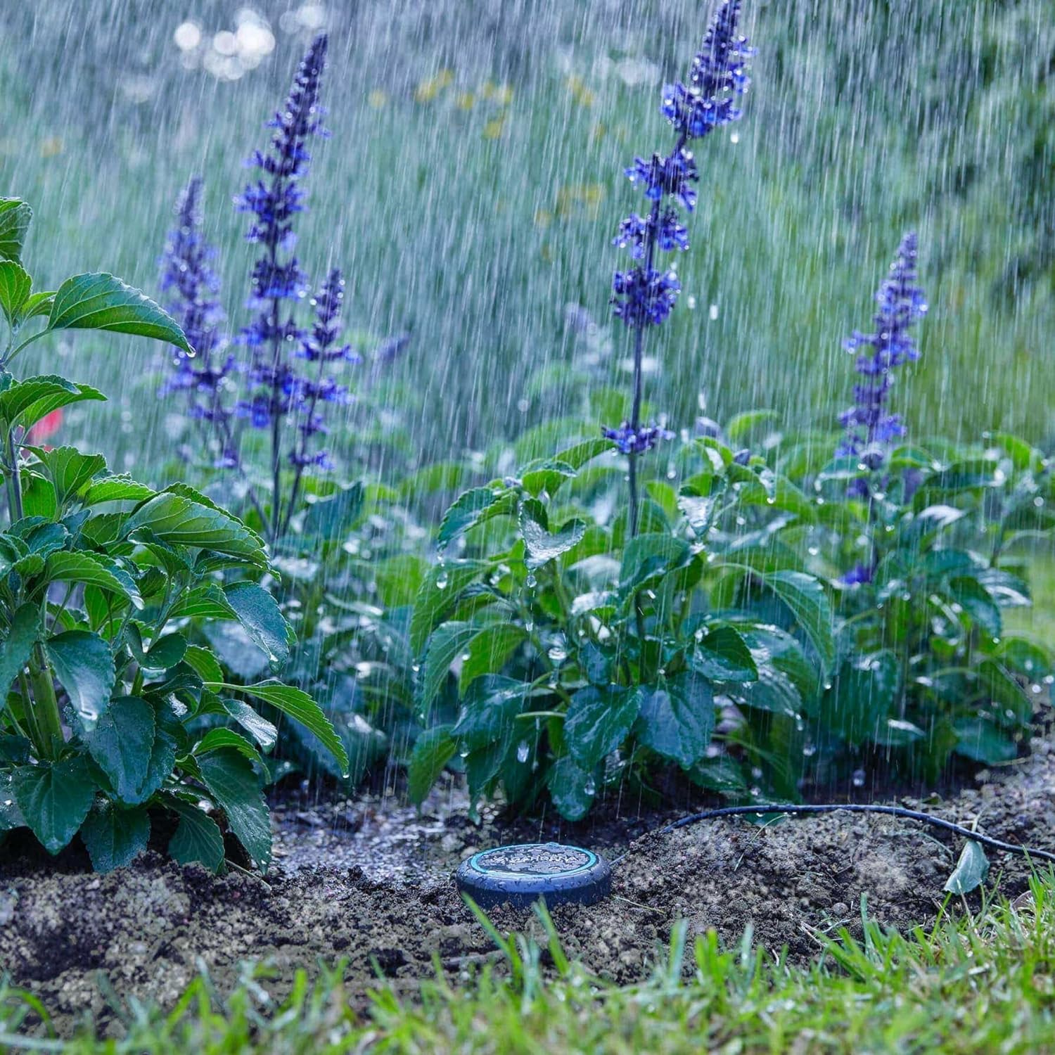 Gardena Soil Moisture Sensor: Automatic irrigation, can be used directly on the lawn, 5 m long connection cable, can be extended with extension cable (01867-20)