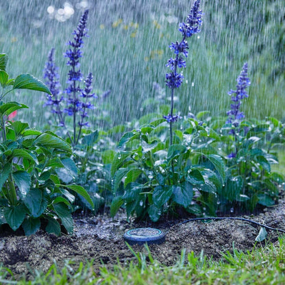 Gardena Soil Moisture Sensor: Automatic irrigation, can be used directly on the lawn, 5 m long connection cable, can be extended with extension cable (01867-20)
