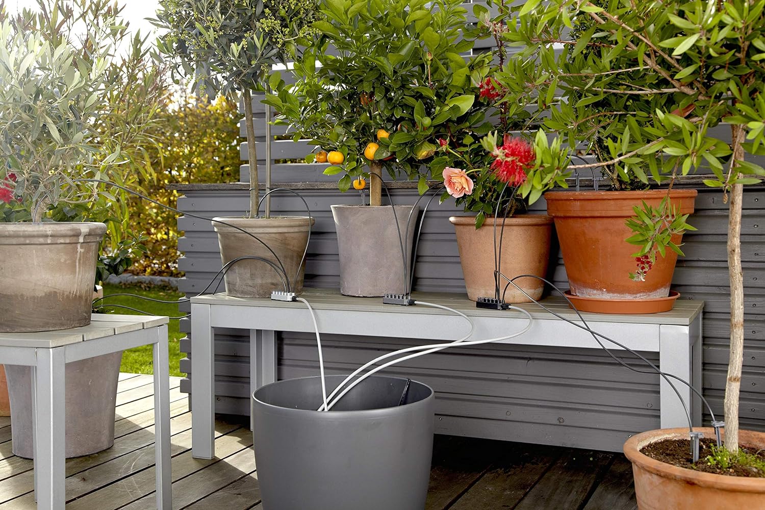 Gardena city gardening Urlaubsbewässerung: Pflanzenbewässerungs-Set für drinnen und draußen, individuelle Bewässerung von bis zu 36 Pflanzen (1265-20) Urlaubsbewässerung Single