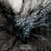 Where Voices Leave No Echo (Black Vinyl LP)