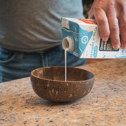 pandoo Coconut Bowls with Spoons Set of 2 – 100 % Natural Product – Plastic-Free Alternative – Handmade and Polished with Coconut Oil