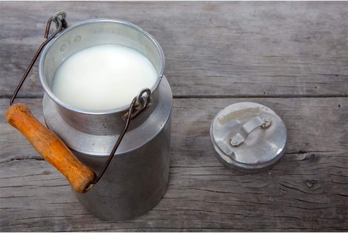 JURA original - Mini-Tabs zur Milchsystem-Reinigung für 60 Reinigungen - TÜV-zertifizierte Hygiene - 180 g Dosiersystem - 24211